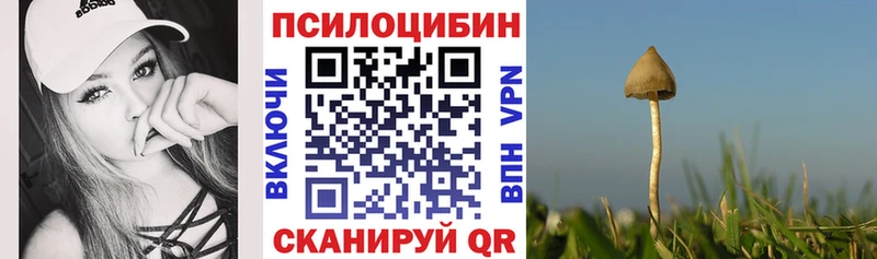 Галлюциногенные грибы Psilocybine cubensis площадка как зайти Малаховка